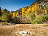 Eastern Sierra 028